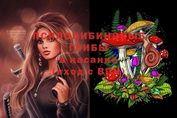 прущие грибы Абинск