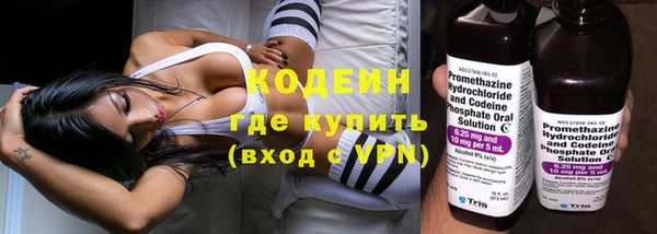 прущие грибы Абинск