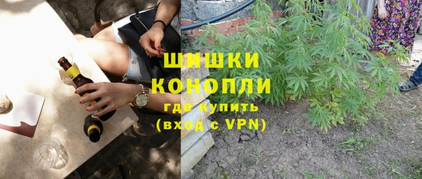 прущие грибы Абинск