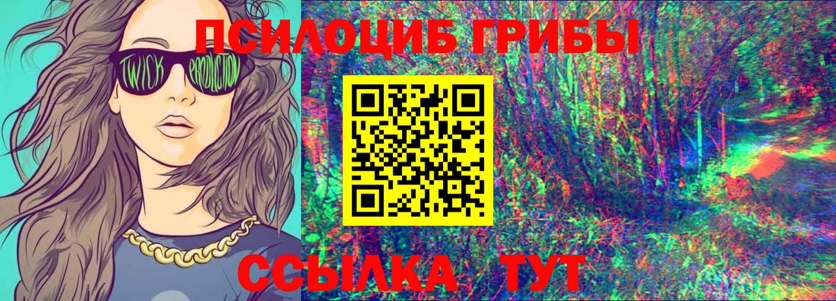 Псилоцибиновые грибы Psilocybe Симферополь
